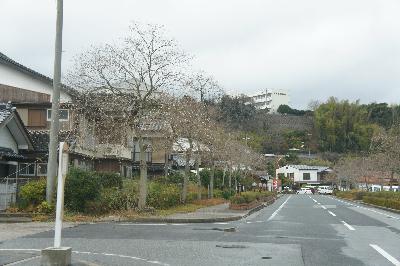 住む場所と仕事、迷ったとき（ゲスト：sakikaさん 前編）