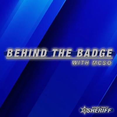 MCSO Accreditation Process