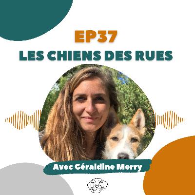 #REDIFF - Géraldine Merry (VoxCanis) : Les chiens des rues