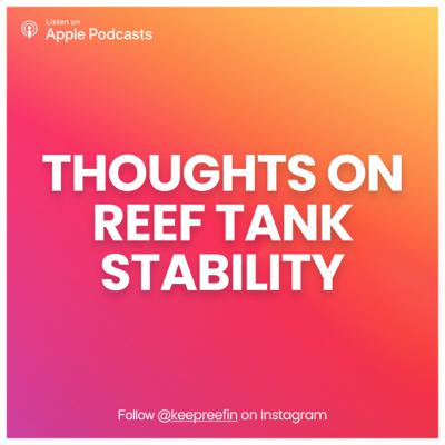 S1-05// Thoughts on Reef Tank stability