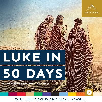 Day 50: The Conclusion and Next Steps Day 50: The Conclusion and Next Steps