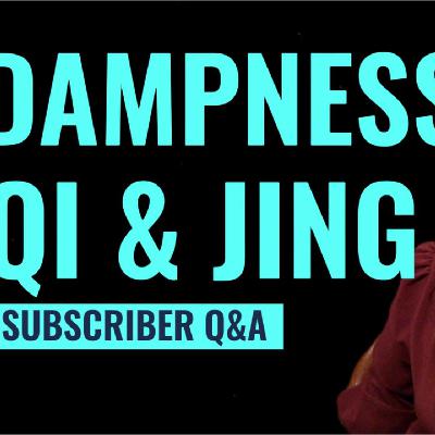 Dampness, Qi (Chi) and Jing (Essence) - Kidney Deficiency and Dampness - are they related?