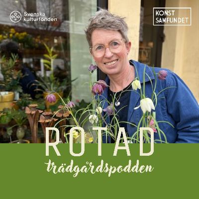 Sätt stilen med sommarblommor!