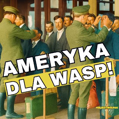 Amerykanie przeciwko imigracji i w obronie spójności narodu. Czym była Ustawa Imigracyjna 1924?
