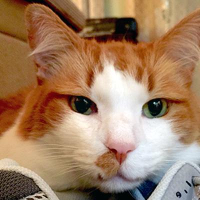 Essential Bond of Trust