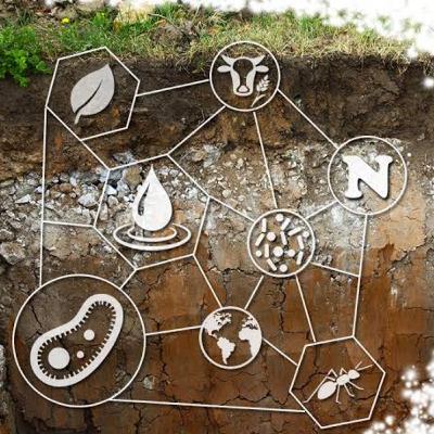Microbiología agrícola aplicada Microbiología agrícola aplicada