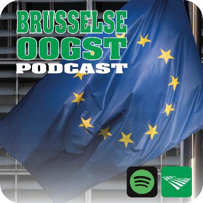 'Veel boomer-richtlijnen uit Brussel halen doelen niet' 'Veel boomer-richtlijnen uit Brussel halen doelen niet'