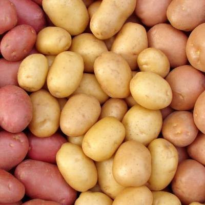 #9: Potatoes