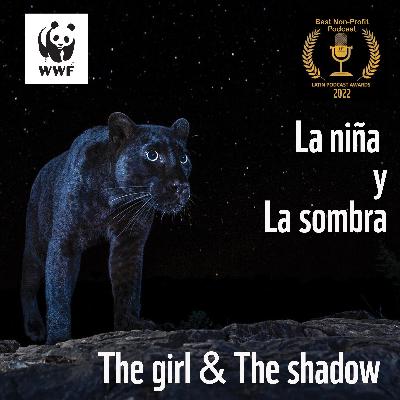 Teaser La niña y la Sombra