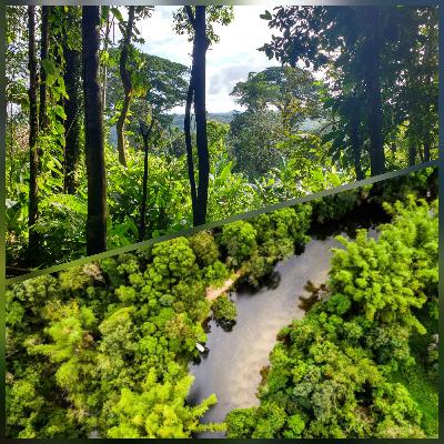 Ep. 3 La selva de Lesly Mucutuy Ep. 3 La selva de Lesly Mucutuy