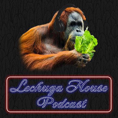 Lechuga House 003 - Sleepycast: Encanto Review Lechuga House 003 - Sleepycast: Encanto Review