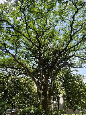 Refining Our Focus: Living a Legacy of Love