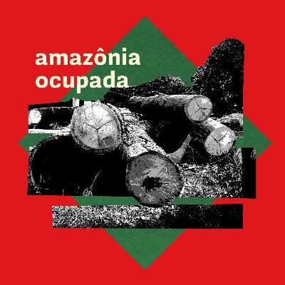 Tudo começa pela madeira