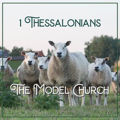 The Guiding Shepherd, Part 1 • 1 Thessalonians 2:11-12