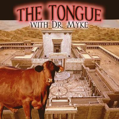 S6E13: The Temple And The Red Heifer