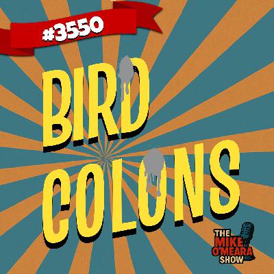 #3550: Bird Colon #3550: Bird Colon