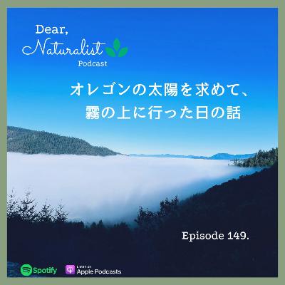 # 149. オレゴンの太陽を求めて、霧の上に行った日の話