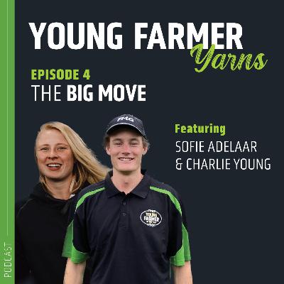The Big Move