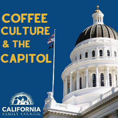 90: Race-Based Policies Return? The Capitol Showdown
