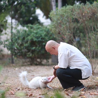 在清迈创新办学,孩子们不优先学习英文和科学,却用中文学习国学。|儒释道三家如何看苦乐? 在清迈创新办学,孩子们不优先学习英文和科学,却用中文学习国学。|儒释道三家如何看苦乐?
