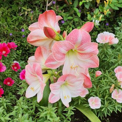 (Self)Love is all you need!