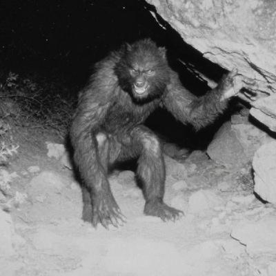 U.S Navy SEAL: FERAL PEOPLE Are REAL And They’re LIVING in ALASKA Wilderness U.S Navy SEAL: FERAL PEOPLE Are REAL And They’re LIVING in ALASKA Wilderness