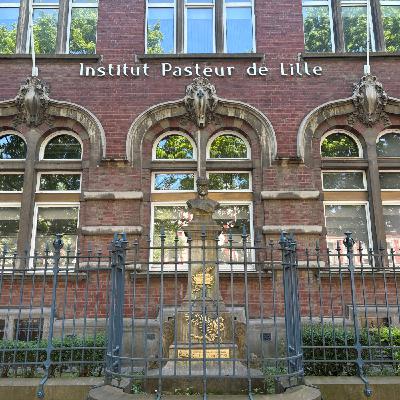 Changements climatiques : des virus exotiques dans les Hauts-de-France ?