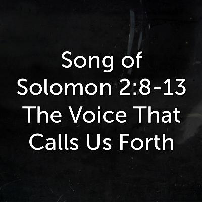 The Voice That Calls Us Forth