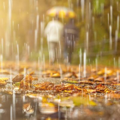 Wie schnell fallen Regentropfen? Wie schnell fallen Regentropfen?