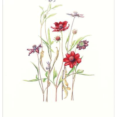 Nuestro pan diario para Mujeres. 14 de junio. Necesitamos esperanza.