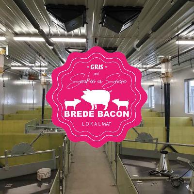 Grisepodden: Vi bygger grisehus