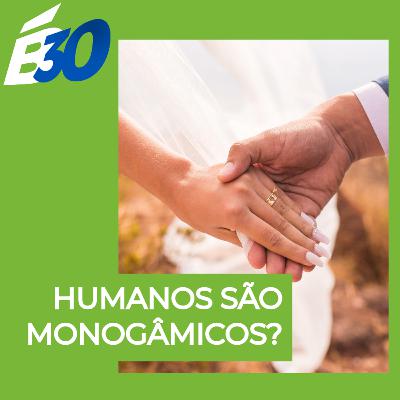 Humanos são monogâmicos?