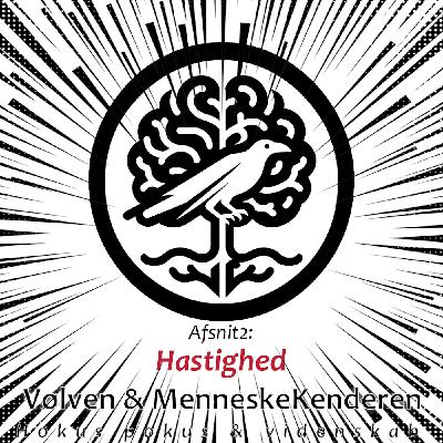 Hastighed