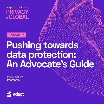 Pushing Toward Data Protection: An Advocate's Guide