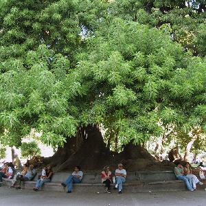 Episodio #9: Caballito