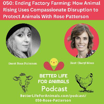 050: Ending Factory Farming: How Animal Rising Uses Compassionate Disruption to Protect Animals With Rose Patterson 050: Ending Factory Farming: How Animal Rising Uses Compassionate Disruption to Protect Animals With Rose Patterson