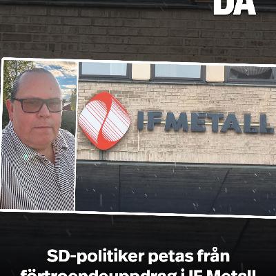 SD-politiker petas från förtroendeuppdrag i IF Metall