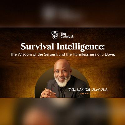Survival Intelligence: The Wisdom of The Serpent & The Harmlessness of a Dove | Be Transformed Podcast Survival Intelligence: The Wisdom of The Serpent & The Harmlessness of a Dove | Be Transformed Podcast