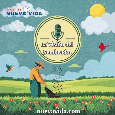 Ojos para Ver: Milagros, Liberación y el Poder de la Humildad