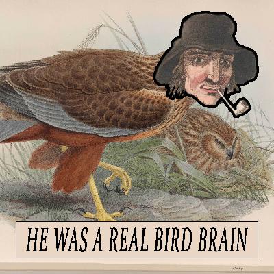He Was a Real Bird Brain