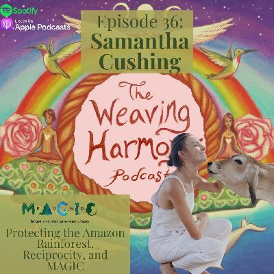 36. Protecting the Amazon Rainforest, Reciprocity, and MAGIC