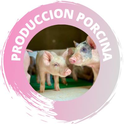 Alimentación en Gestación y otros aspectos generales.