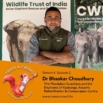 Dr Bhaskar Choudhury: The Floodplain Guardians and the Elephants of Kaziranga