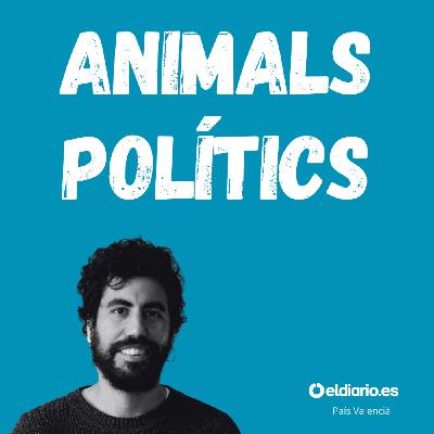Ep. 16 - Habitatge o barbàrie