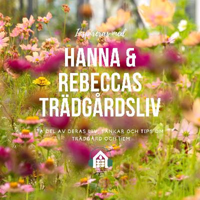 Avsnitt 131 – Köksträdgården, blommor