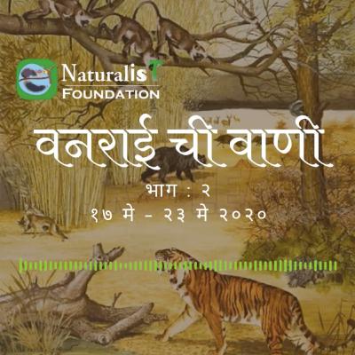 Episode 2 17th to 23rd May, 2020
