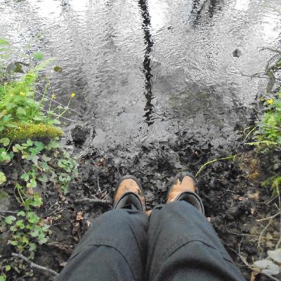 TWITTERFEAR dot IE TWIT 004 Eternal Copyright davyferguson and WeirdAudioProductions TWITTERFEAR dot IE TWIT 004 Eternal Copyright davyferguson and WeirdAudioProductions