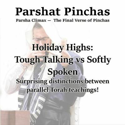 Parsha Climax- The Final Verse Of Parshat Pinchas