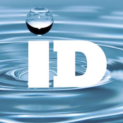 Identity Identity
