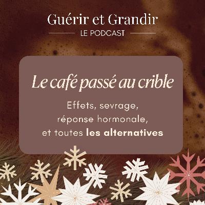 Le café passé au crible : effets, sevrage, réponse hormonale, et toutes les alternatives